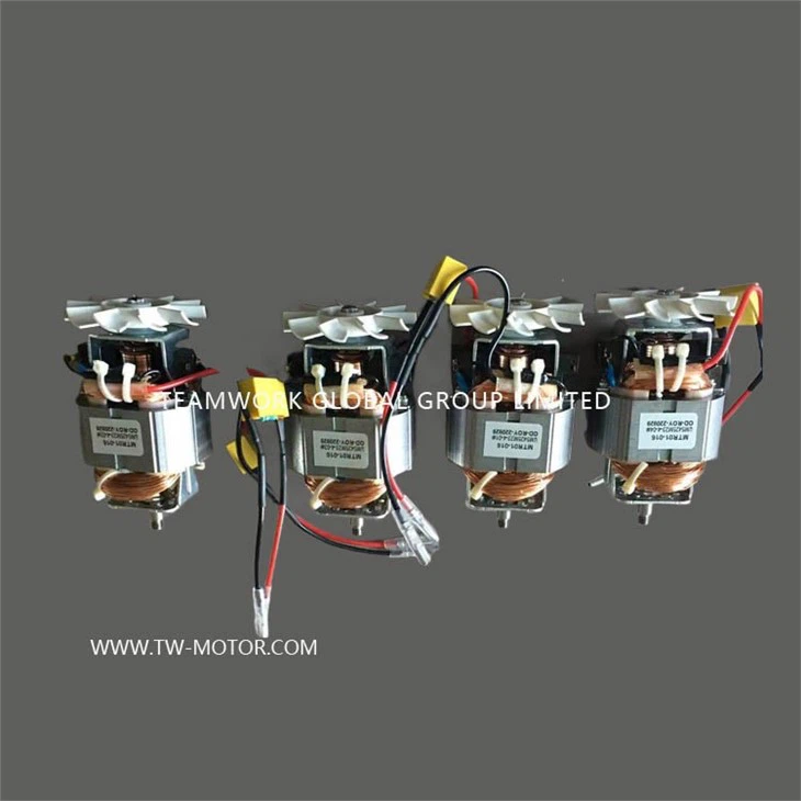 High Speed Universal Motor